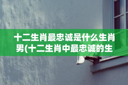 十二生肖最忠诚是什么生肖男(十二生肖中最忠诚的生肖)(十二生肖最忠诚是哪一个生肖)