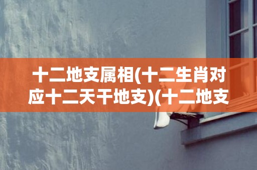 十二地支属相(十二生肖对应十二天干地支)(十二地支所属生肖及属相)