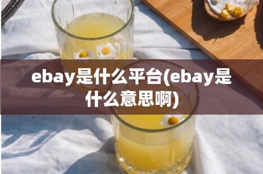ebay是什么平台(ebay是什么意思啊)