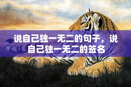 说自己独一无二的句子，说自己独一无二的签名