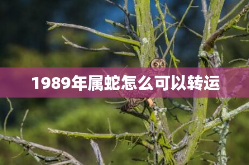 1989年属蛇怎么可以转运