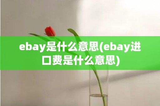 ebay是什么意思(ebay进口费是什么意思)