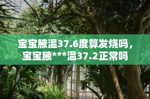 宝宝腋温37.6度算发烧吗，宝宝腋***温37.2正常吗