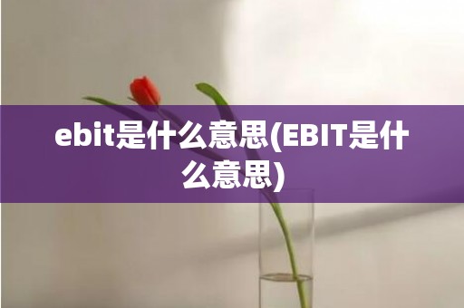 ebit是什么意思(EBIT是什么意思)