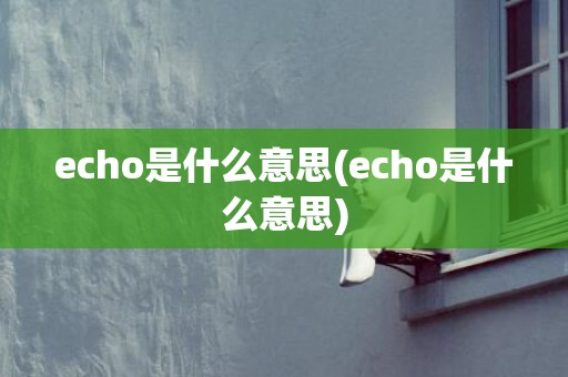 echo是什么意思(echo是什么意思)