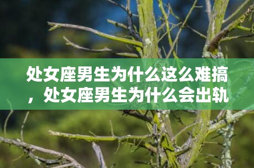 处女座男生为什么这么难搞，处女座男生为什么会出轨