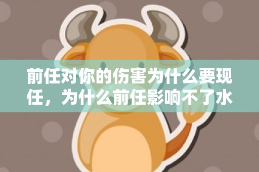 前任对你的伤害为什么要现任，为什么前任影响不了水瓶座