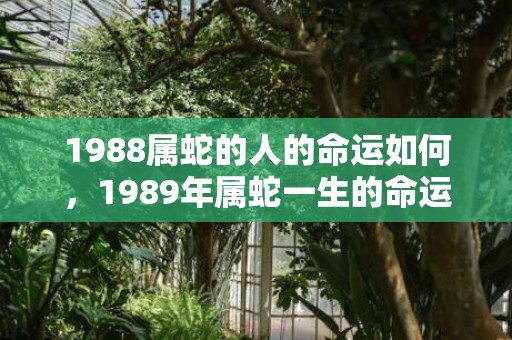 1988属蛇的人的命运如何，1989年属蛇一生的命运