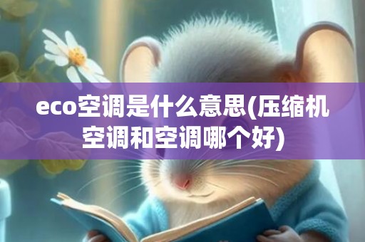 eco空调是什么意思(压缩机空调和空调哪个好)
