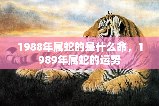 1988年属蛇的是什么命，1989年属蛇的运势