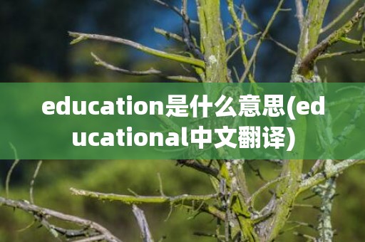 education是什么意思(educational中文翻译)