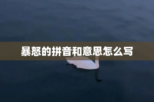 暴怒的拼音和意思怎么写
