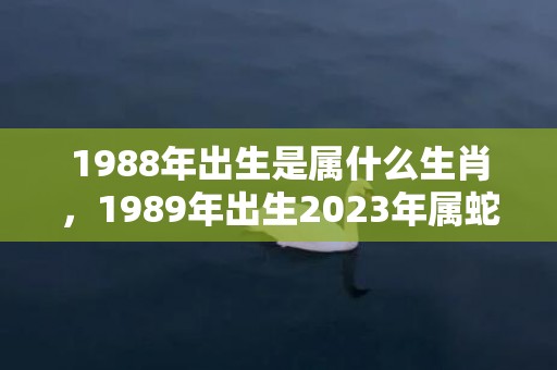 1988年出生是属什么生肖，1989年出生2023年属蛇