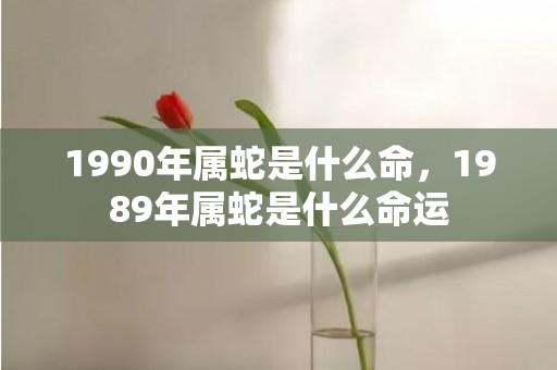 1990年属蛇是什么命，1989年属蛇是什么命运
