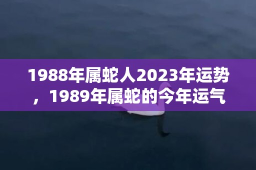 1988年属蛇人2023年运势，1989年属蛇的今年运气如何