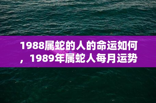 1988属蛇的人的命运如何，1989年属蛇人每月运势