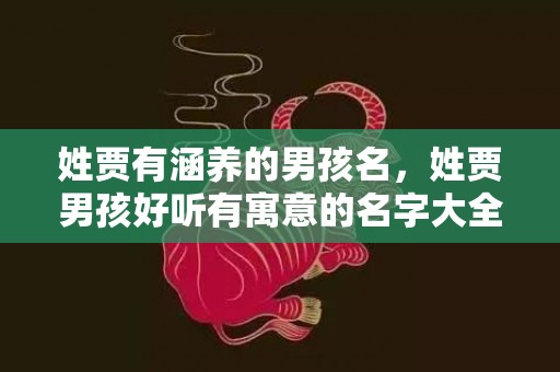 姓贾有涵养的男孩名，姓贾男孩好听有寓意的名字大全