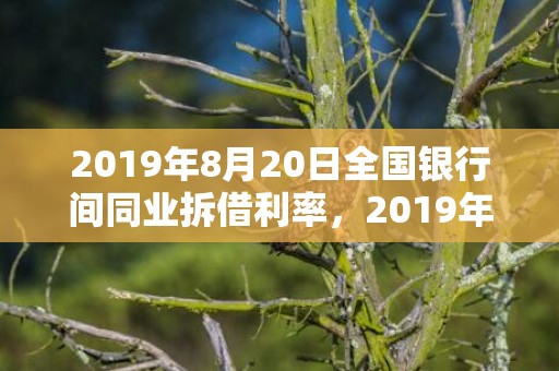 2019年8月20日全国银行间同业拆借利率，2019年8月20号出生的男孩起什么名字比较好，五行属什么
