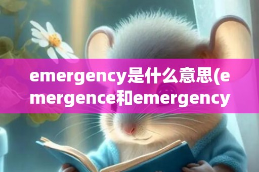 emergency是什么意思(emergence和emergency区别)
