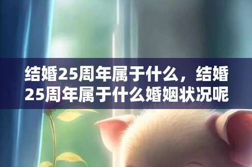 结婚25周年属于什么，结婚25周年属于什么婚姻状况呢怎么算 改婚姻状况需要什么