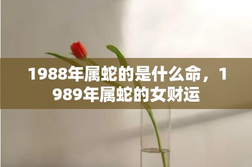 1988年属蛇的是什么命，1989年属蛇的女财运