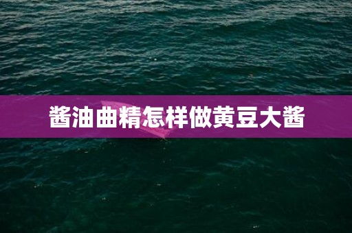 酱油曲精怎样做黄豆大酱