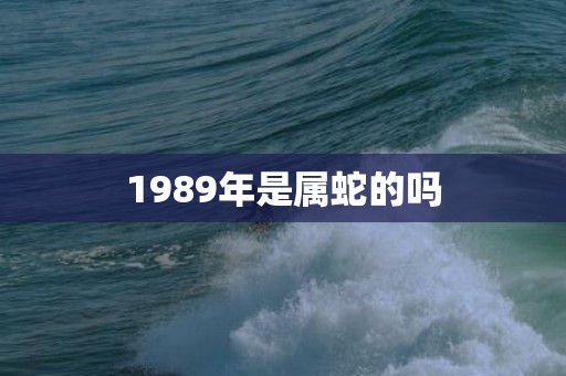 1989年是属蛇的吗