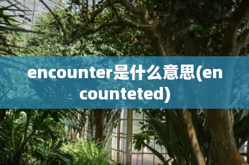 encounter是什么意思(encounteted)
