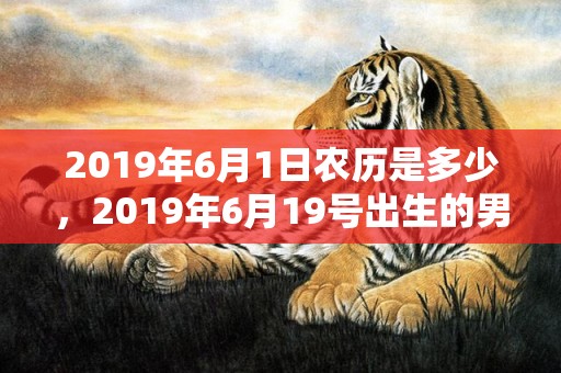 2019年6月1日农历是多少，2019年6月19号出生的男孩起什么名字比较好，五行属什么