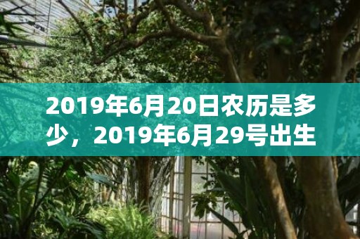 2019年6月20日农历是多少，2019年6月29号出生的男孩起什么名字比较好，五行属什么