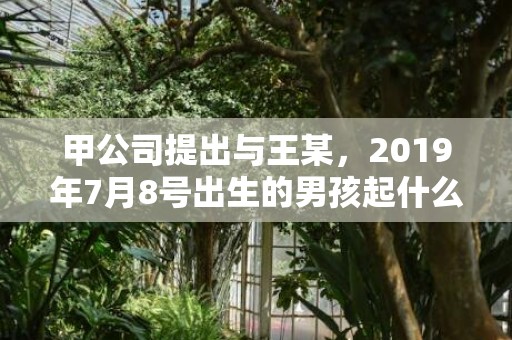 甲公司提出与王某，2019年7月8号出生的男孩起什么名字比较好，五行属什么