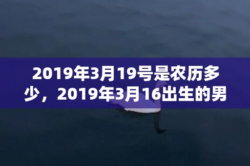 2019年3月19号是农历多少，2019年3月16出生的男宝宝五行缺水要如何起名字