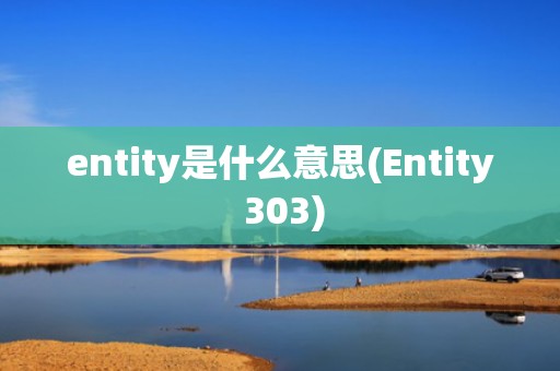 entity是什么意思(Entity 303)