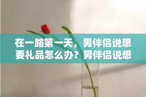 在一路第一天，男伴侣说想要礼品怎么办？男伴侣说想要礼品怎么答复
