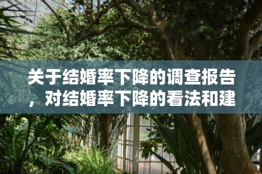 关于结婚率下降的调查报告，对结婚率下降的看法和建议怎么写