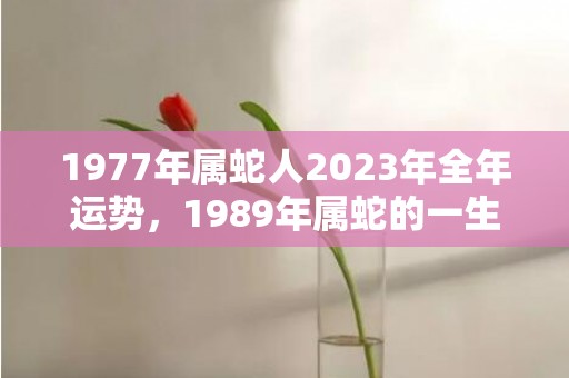 1977年属蛇人2023年全年运势，1989年属蛇的一生财运怎么样