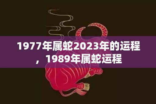1977年属蛇2023年的运程，1989年属蛇运程