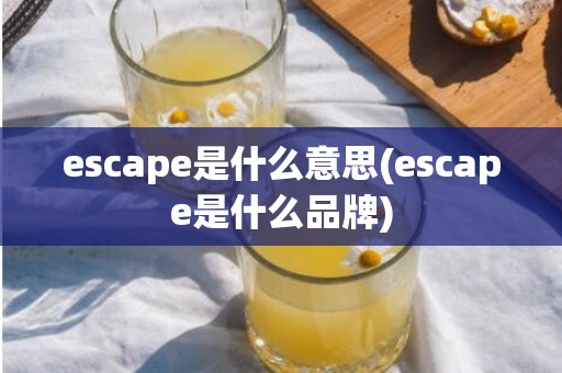 escape是什么意思(escape是什么品牌)