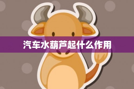 汽车水葫芦起什么作用