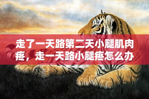 走了一天路第二天小腿肌肉疼，走一天路小腿疼怎么办 热敷对小腿疼有效吗