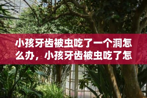 小孩牙齿被虫吃了一个洞怎么办，小孩牙齿被虫吃了怎么办