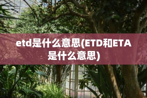 etd是什么意思(ETD和ETA是什么意思)