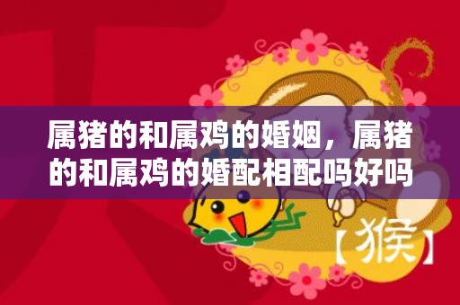属猪的和属鸡的婚姻，属猪的和属鸡的婚配相配吗好吗