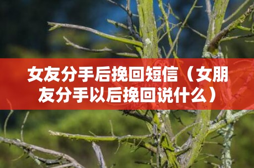女友分手后挽回短信（女朋友分手以后挽回说什么）