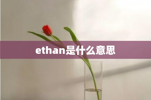 ethan是什么意思