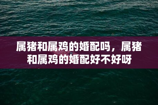 属猪和属鸡的婚配吗，属猪和属鸡的婚配好不好呀