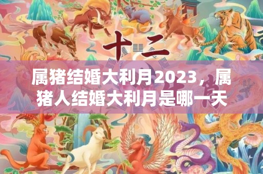 属猪结婚大利月2023，属猪人结婚大利月是哪一天