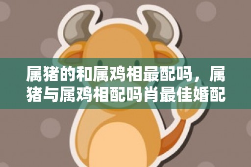属猪的和属鸡相最配吗，属猪与属鸡相配吗肖最佳婚配表