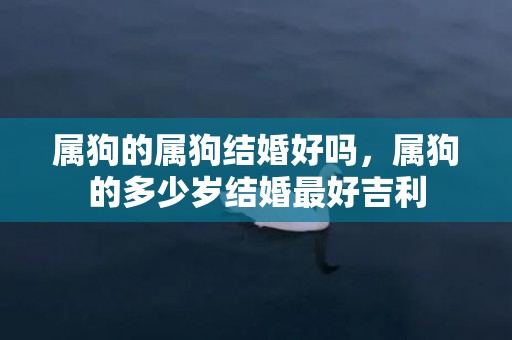 属狗的属狗结婚好吗，属狗的多少岁结婚最好吉利