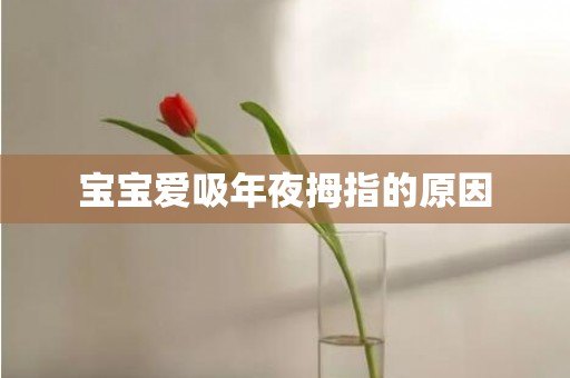 宝宝爱吸年夜拇指的原因